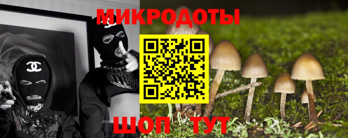 Псилоцибиновые грибы мицелий  Вход с VPN  Новороссийск 